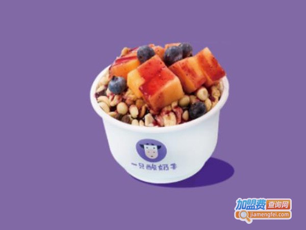 一只酸奶牛加盟