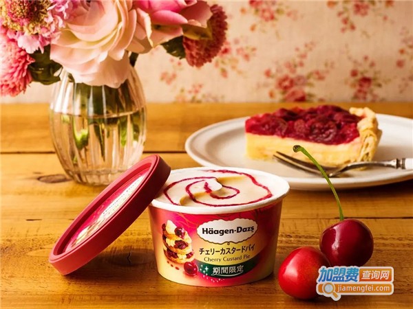 哈根达斯加盟