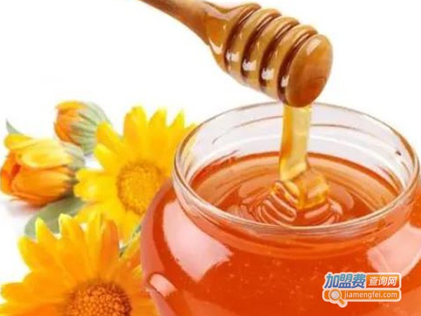 汪氏蜂蜜加盟费