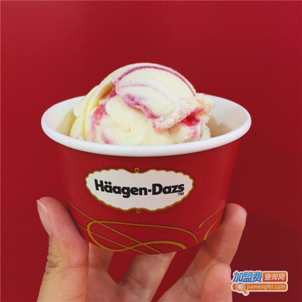 哈根达斯加盟
