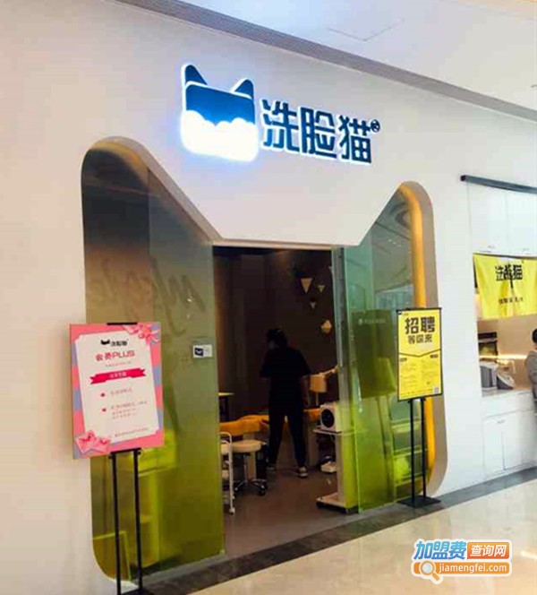 洗脸猫洗脸吧加盟