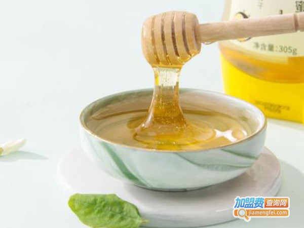 汪氏蜂蜜加盟费