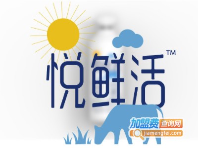 悦鲜活牛奶