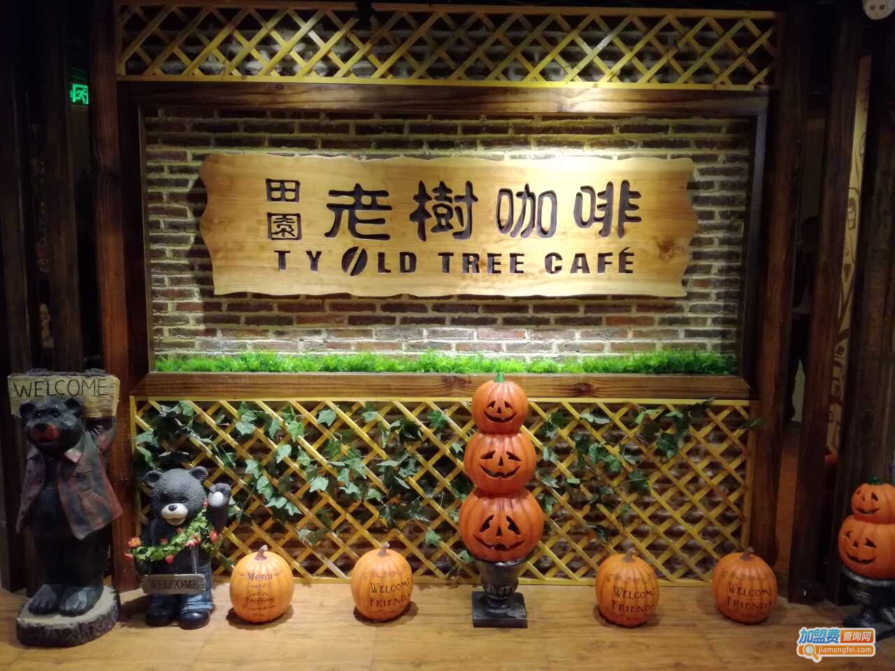 老树咖啡加盟费