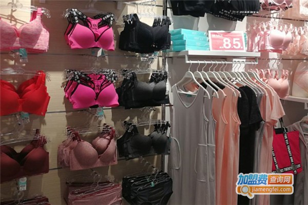 伊美丽人加盟费