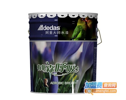 阿里大师漆加盟费