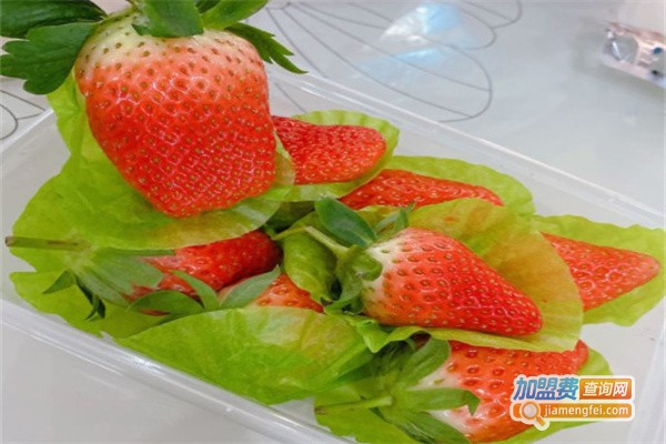 蜜之农水果大叔加盟费