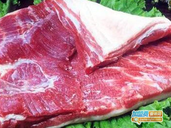 金锣冷鲜肉加盟