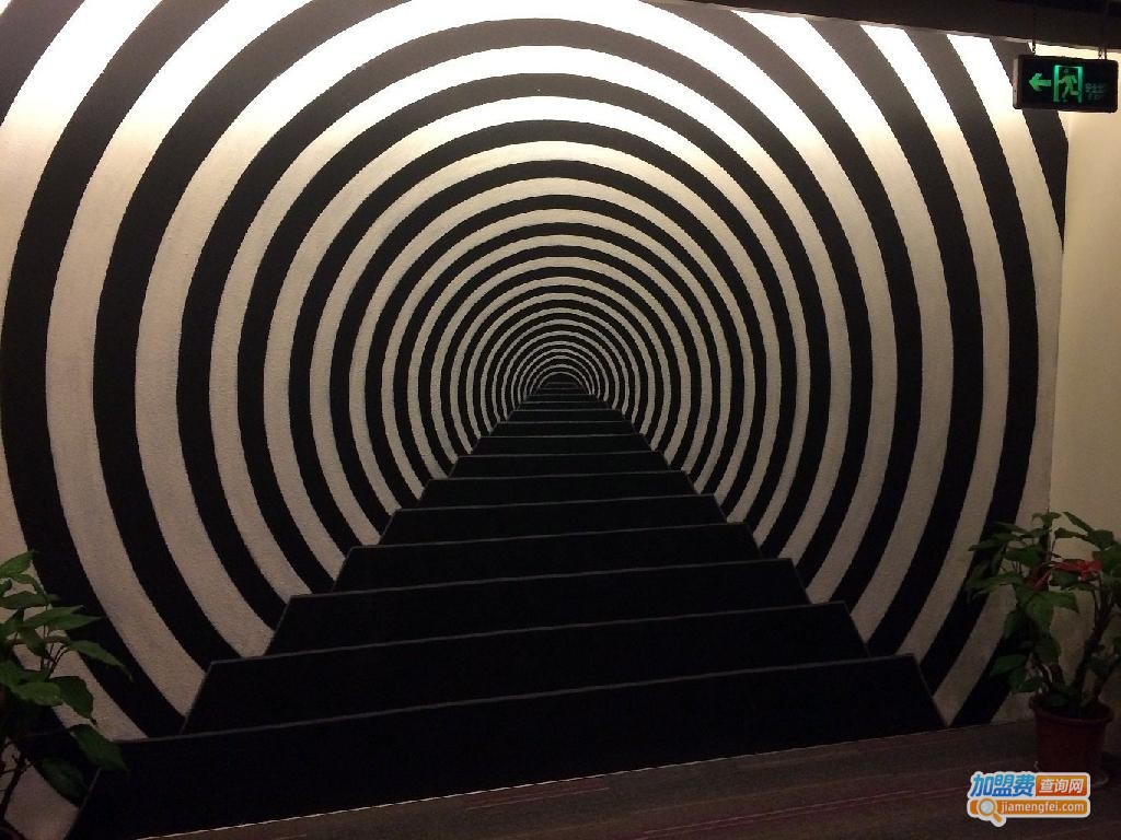 条形码艺术酒店加盟费