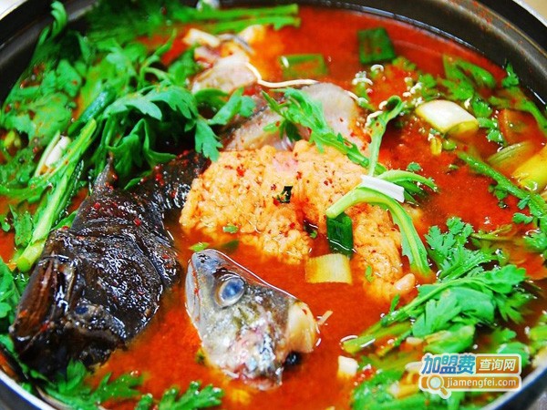 醉鱼头火锅加盟费