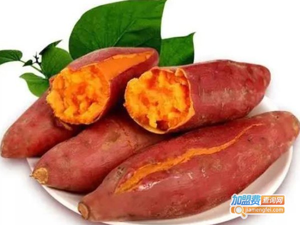 珍薯园地瓜坊加盟费