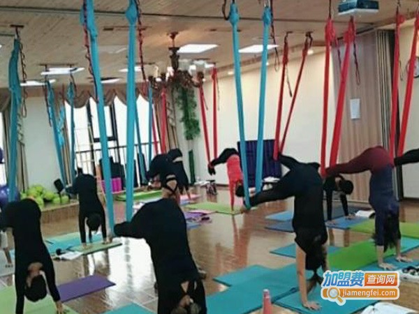 金凤凰瑜伽加盟