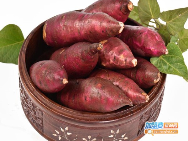 珍薯园地瓜坊加盟费