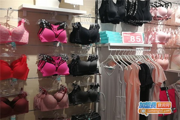 姐妹花内衣加盟