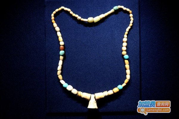 天精地髓加盟费