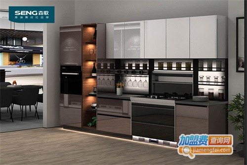 森歌集成灶加盟