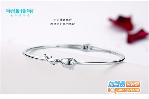 宝缘银饰加盟