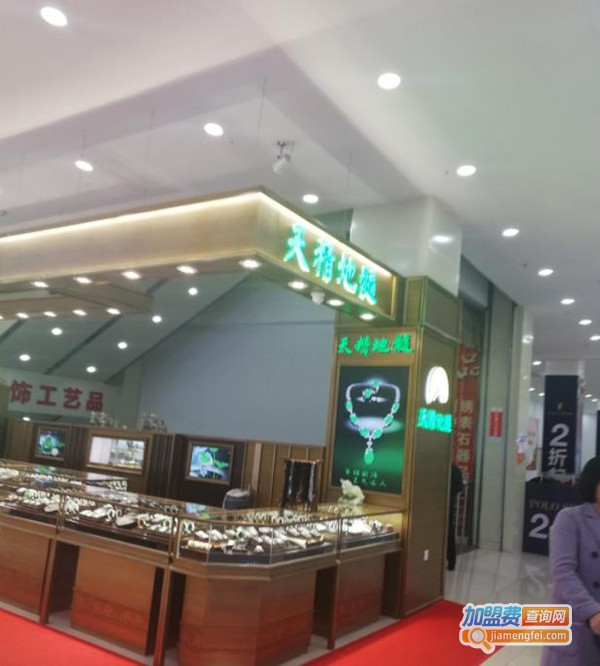 天精地髓加盟费