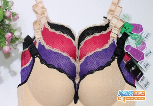 多彩多姿内衣加盟