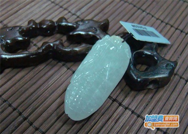 天精地髓加盟费