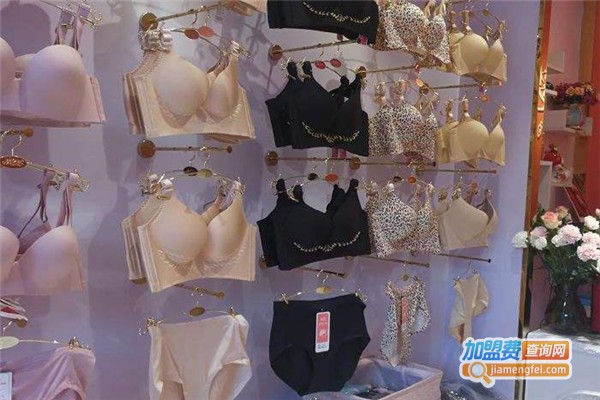 维多利亚的秘密内衣加盟费