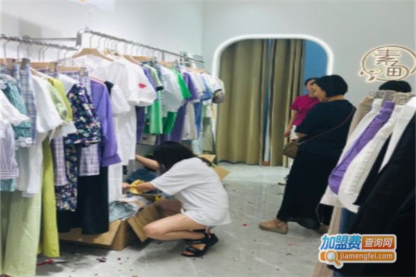 素甸女装加盟费