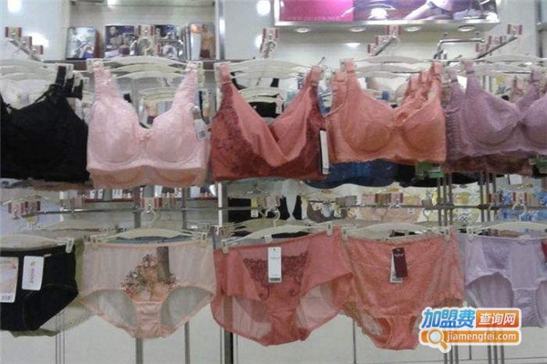 闺秘内衣加盟