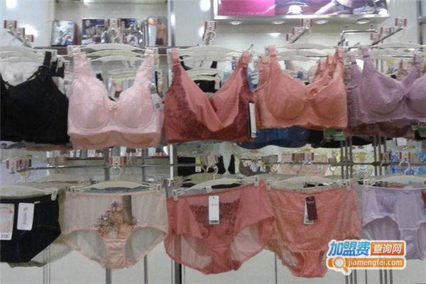 纤丽媛内衣加盟费