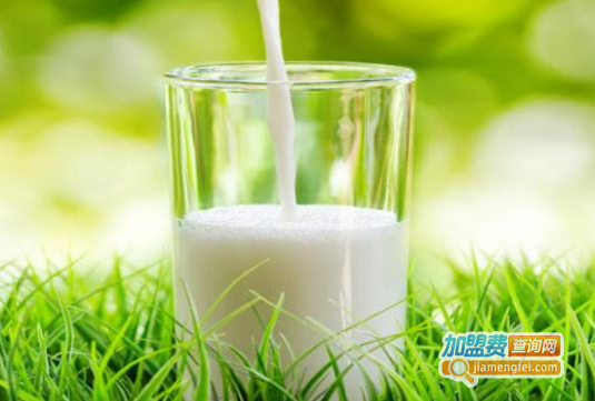 百分百鲜奶吧加盟费