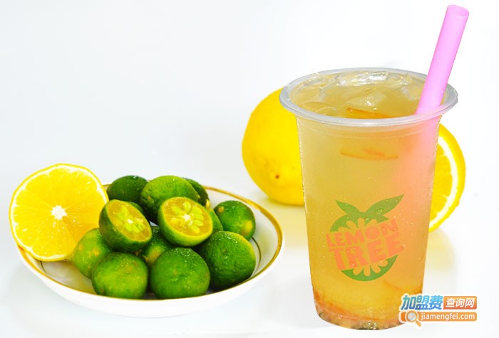 柠檬树奶茶加盟费