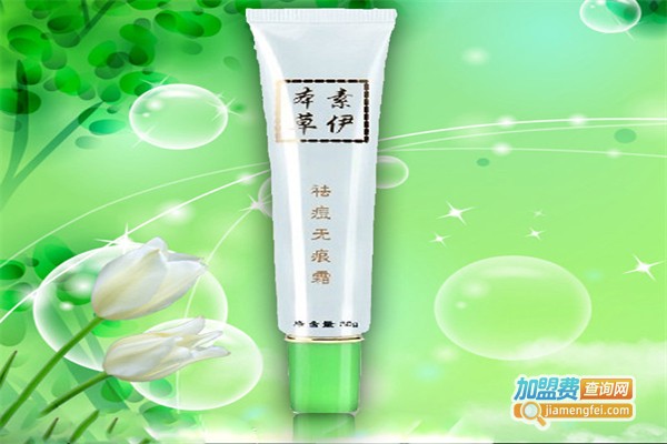 素伊本草护肤品加盟