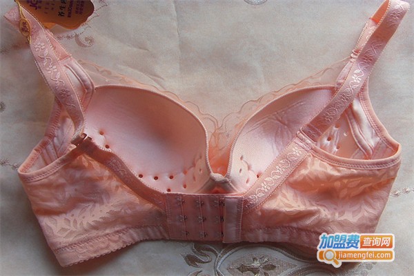 金冠夫人内衣加盟