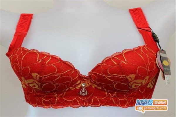 金冠夫人内衣加盟