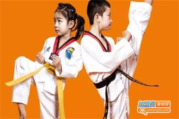 陈中跆拳道加盟