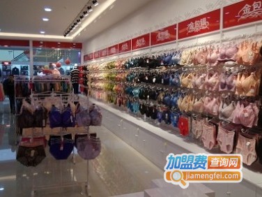 金包银内衣加盟费