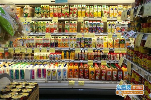 冰咔洛伊冰淇淋加盟