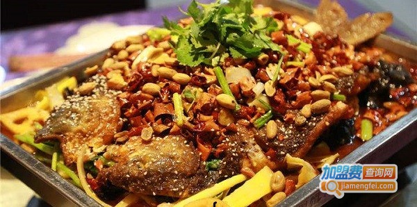 金百合烤鱼加盟费