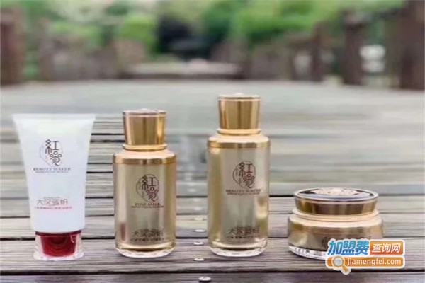 大汉蓝妍美容养生加盟费