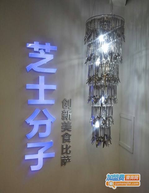 芝士分子加盟费