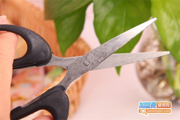 爱家小货郎2元店加盟费