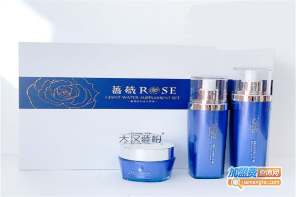 大汉蓝妍美容养生加盟费