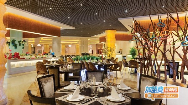 元素西餐厅加盟费