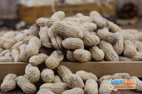 白根柱炒货加盟费