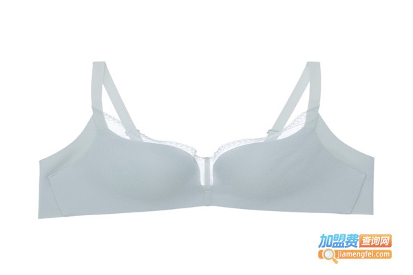 爱慕内衣加盟费