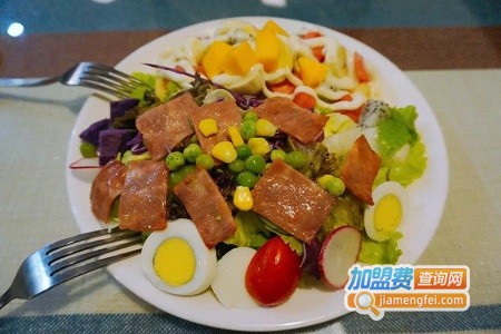 来个沙拉加盟费