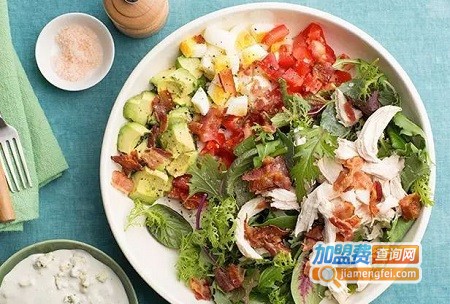 来个沙拉加盟费