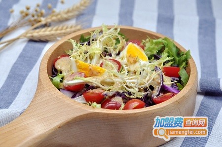 来个沙拉加盟费