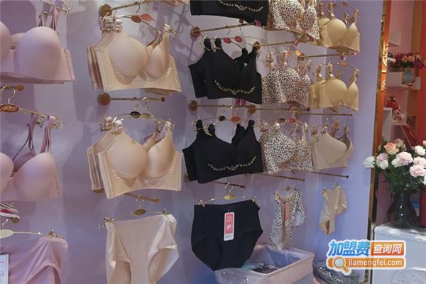 韵娅孕妇内衣加盟费