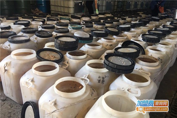 天蜂奇蜂蜜加盟费