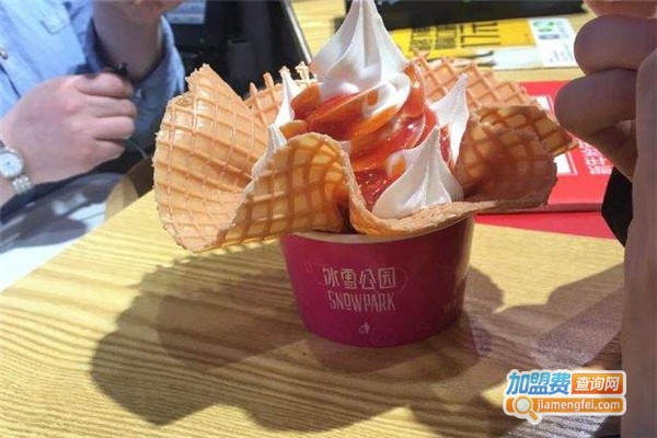 冰雪公园加盟费